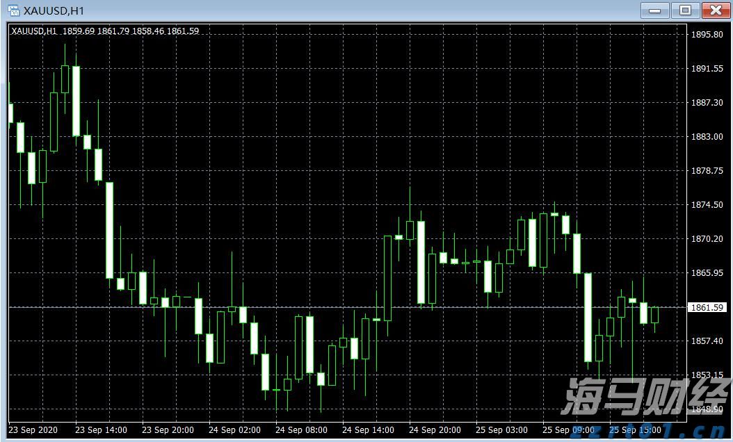 世界首例！广东医生将基因编辑猪肺移植到人体