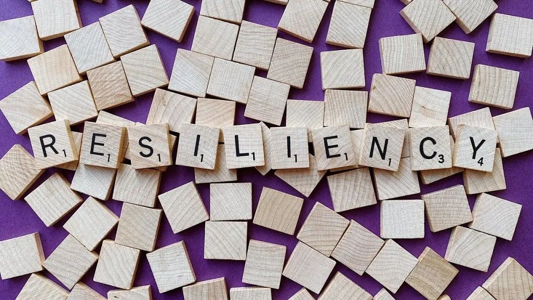 张家口市19家企业亮相2025年廊坊经洽会