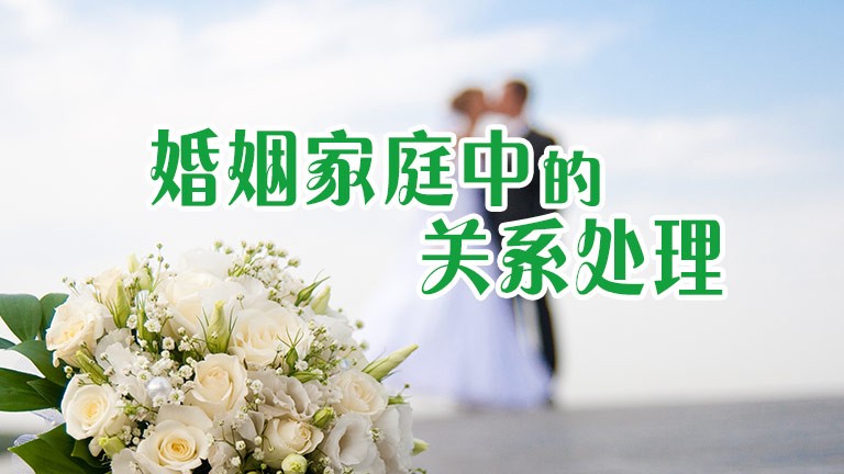 硕士、博士超千人，泰康HWP成为人才高地