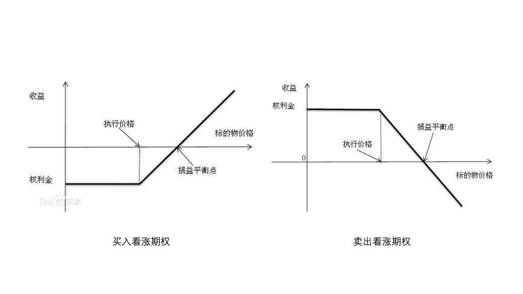 广东出台保护鸟类工作方案 提出全面加强鸟类迁飞通道保护等六大任务