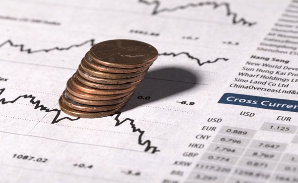 解锁新市场！梅州观赏鱼 “游” 进马来西亚